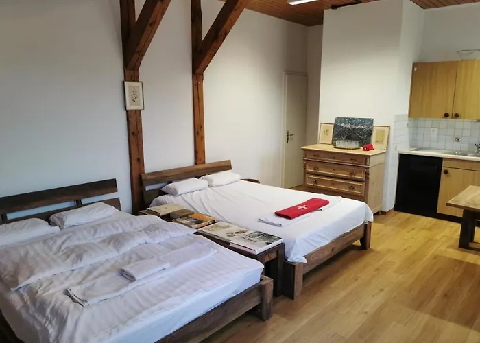 公寓 Simple 36m2 In The Center Of Private Parking Small Bathroom 布格多夫