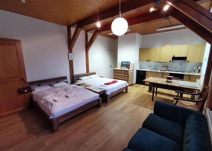 Simple 36m2 In The Center Of Private Parking Small Bathroom 公寓 布格多夫